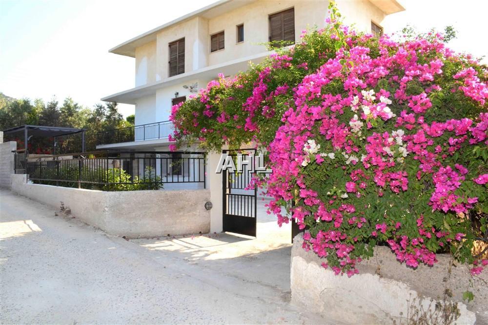 Ground floor apartment, close to the sea. - Property Aegina